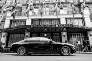 Bespoke Pet Chauffeur Service London by VIP Mayfair